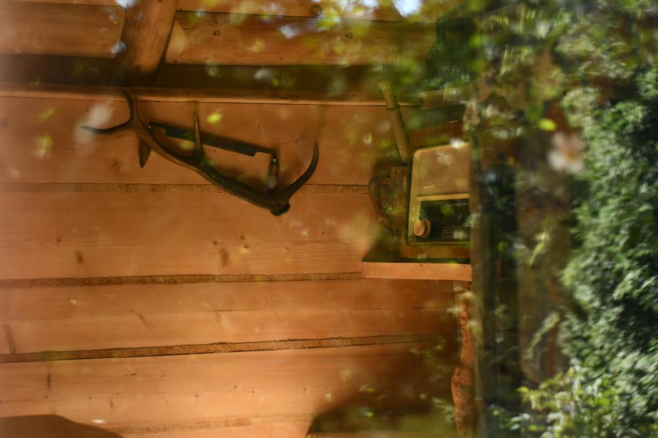 Pokoje U Jantków Dzianisz Exterior foto